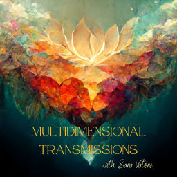 Podcast thumbnail for Multidimensional Transmissions