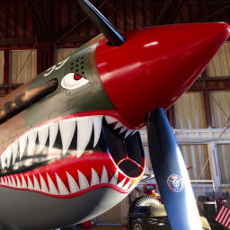 Podcast thumbnail for Warbird Radio