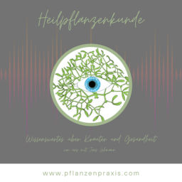 Podcast thumbnail for Heilpflanzenkunde - Wissenswertes über Kräuter und Gesundheit