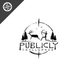 Podcast thumbnail for Publicly Challenged
