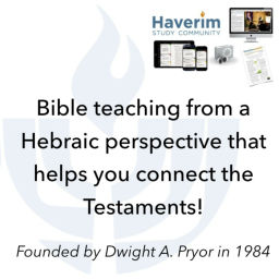 Podcast thumbnail for Haverim Community Monthly Messages