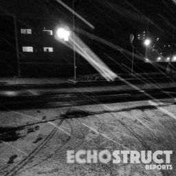 Podcast thumbnail for Echostruct Reports