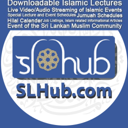 Podcast thumbnail for SLHub.com