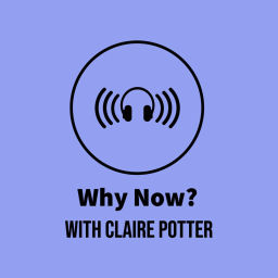 Podcast thumbnail for Why Now? A Political Junkie Podcast