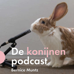Podcast thumbnail for De konijnenpodcast