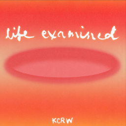 Podcast thumbnail for Life Examined