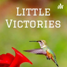 Podcast thumbnail for Little Victories