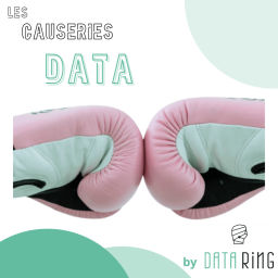 Podcast thumbnail for Les Causeries Data
