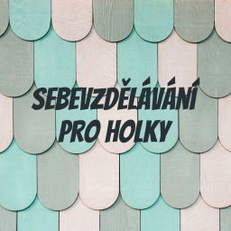 Podcast thumbnail for Sebevzdělávání pro holky