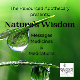 Podcast thumbnail for Nature's Wisdom: Messages, Medicines & Meditations from ReSourced Apothecary