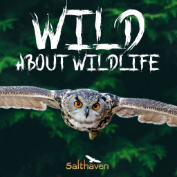 Podcast thumbnail for Wild About Wildlife