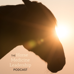 Podcast thumbnail for Horse Medicine Leadership