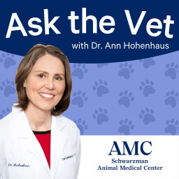 Podcast thumbnail for Ask the Vet