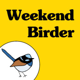 Podcast thumbnail for Weekend Birder