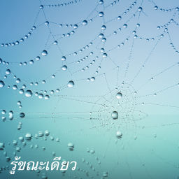 Podcast thumbnail for รู้ขณะเดียว