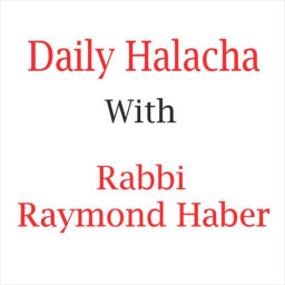 Podcast thumbnail for Daily Halacha with Rabbi Raymond Haber
