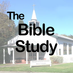 Podcast thumbnail for The Bible Study Program (audio)