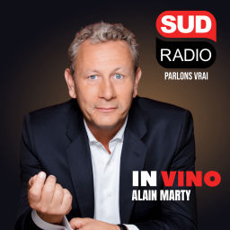 Podcast thumbnail for In Vino