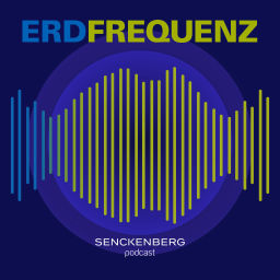 Podcast thumbnail for Erdfrequenz