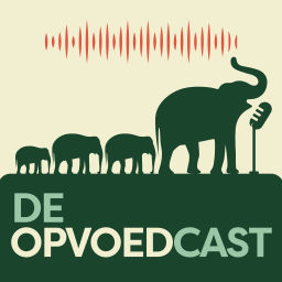 Podcast thumbnail for De Opvoedcast