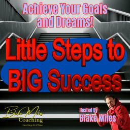 Podcast thumbnail for Little Steps to BIG Success