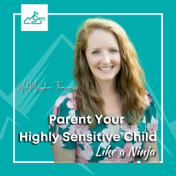 Podcast thumbnail for Parent Your Highly Sensitive Child Like A Ninja