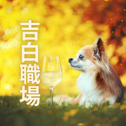Podcast thumbnail for 吉白職場