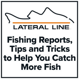 Podcast thumbnail for Fishing Reports by Lateral Line Fishing Journal