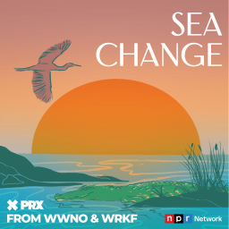 Podcast thumbnail for Sea Change