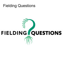 Podcast thumbnail for Fielding Questions