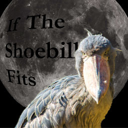 Podcast thumbnail for If The Shoebill Fits