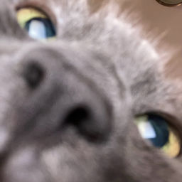Podcast thumbnail for JJ House