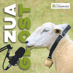 Podcast thumbnail for Zuaglost – der Podcast des „Südtiroler Landwirt“