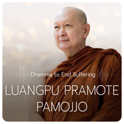 Podcast thumbnail for Mindfulness Dhamma to End Suffering