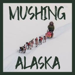 Podcast thumbnail for Mushing Alaska
