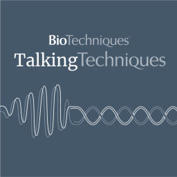 Podcast thumbnail for Talking Techniques