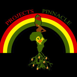 Podcast thumbnail for Projects 2 Pinnacle