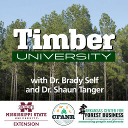 Podcast thumbnail for Timber University