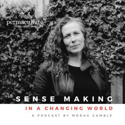 Podcast thumbnail for Sense-Making in a Changing World