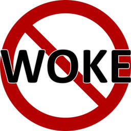 Podcast thumbnail for Anti Woke Podcast