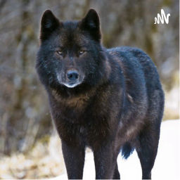 Podcast thumbnail for Wolf Theory