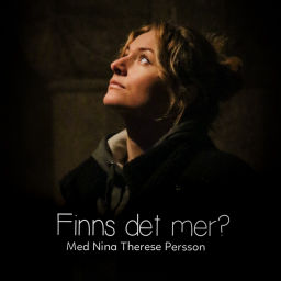 Podcast thumbnail for Finns det mer?