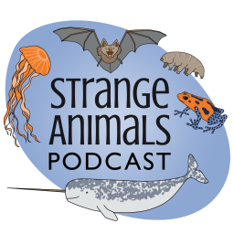 Podcast thumbnail for Strange Animals Podcast