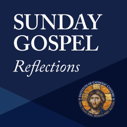 Podcast thumbnail for Sunday Gospel Reflections