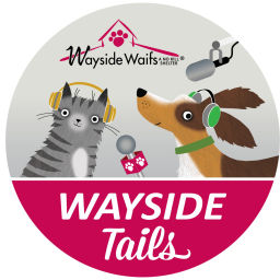 Podcast thumbnail for Wayside Tails