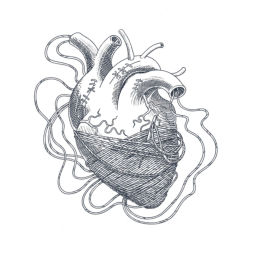 Podcast thumbnail for Diario de un corazón roto