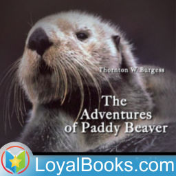 Podcast thumbnail for The Adventures of Paddy Beaver by Thornton W. Burgess