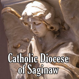 Podcast thumbnail for Catholic Diocese of Saginaw Podcast
