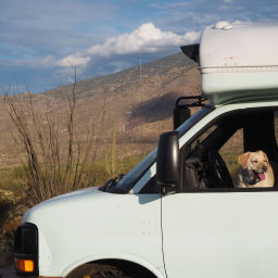 Podcast thumbnail for Shake Some Dust: an American Expatriate Traveling in America