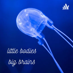 Podcast thumbnail for Little Bodies, Big Brains